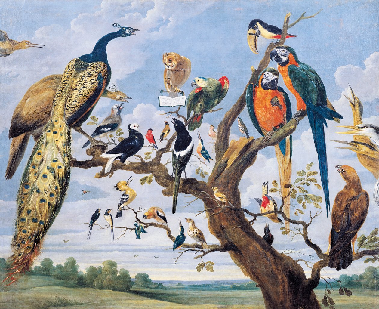 Concert of birds, by Paul de Vos (circa 1591-1678), Netherlands بواسطة بول دي فوس