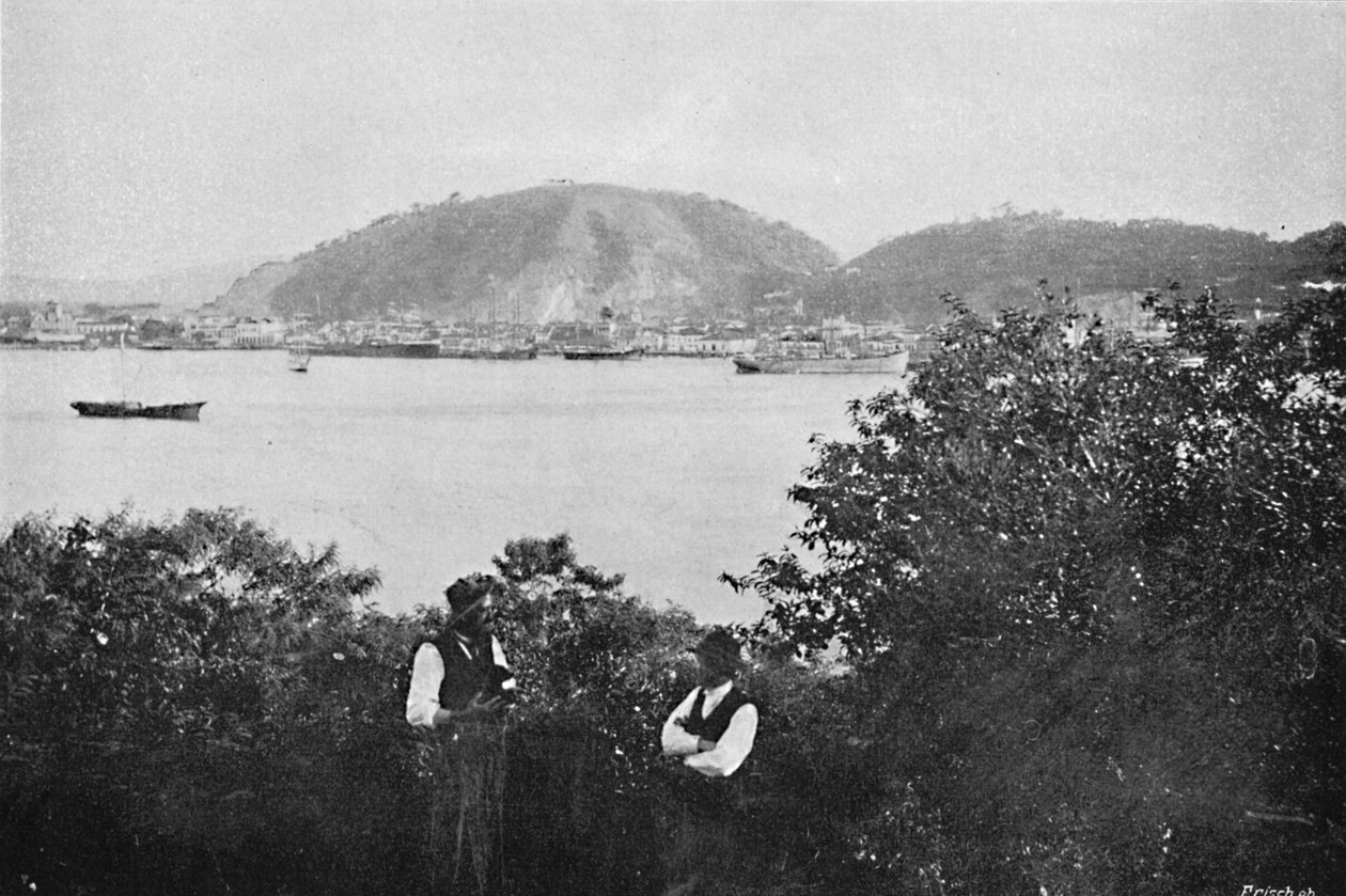 ميناء سانتوس ، 1895 بواسطة باولو كوالسكي