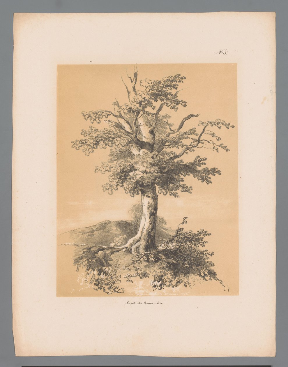 فقاعة وجوه خلابة لبولوس لوترز (عنوان المسلسل) Etrennes pittoresques pour 1839 ، بواسطة Lauters (عنوان السلسلة) بواسطة باولوس لوترز