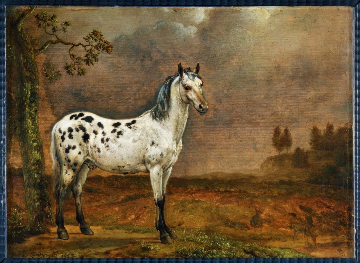 حصان بيبالد بواسطة بول بوتر