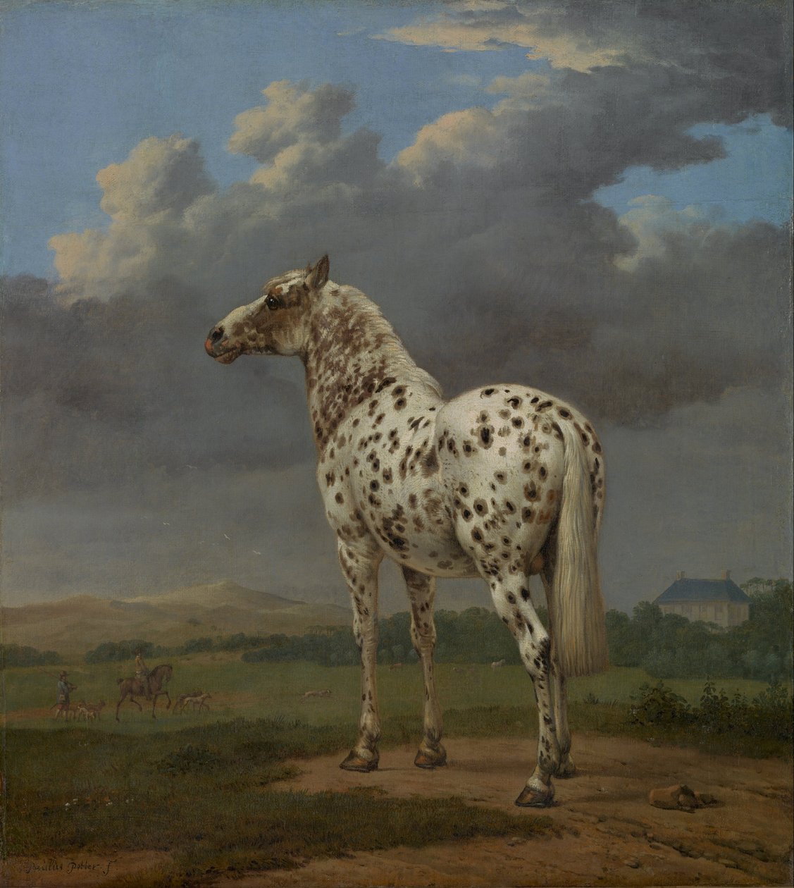 بيبالد هورس ، 1654 بواسطة بول بوتر