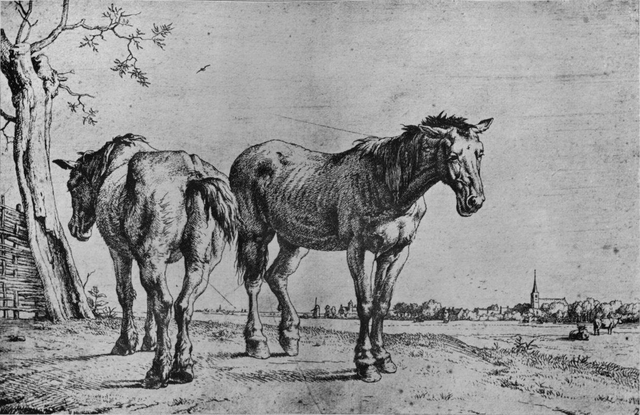 خيول المحراث ، 1652 بواسطة بول بوتر