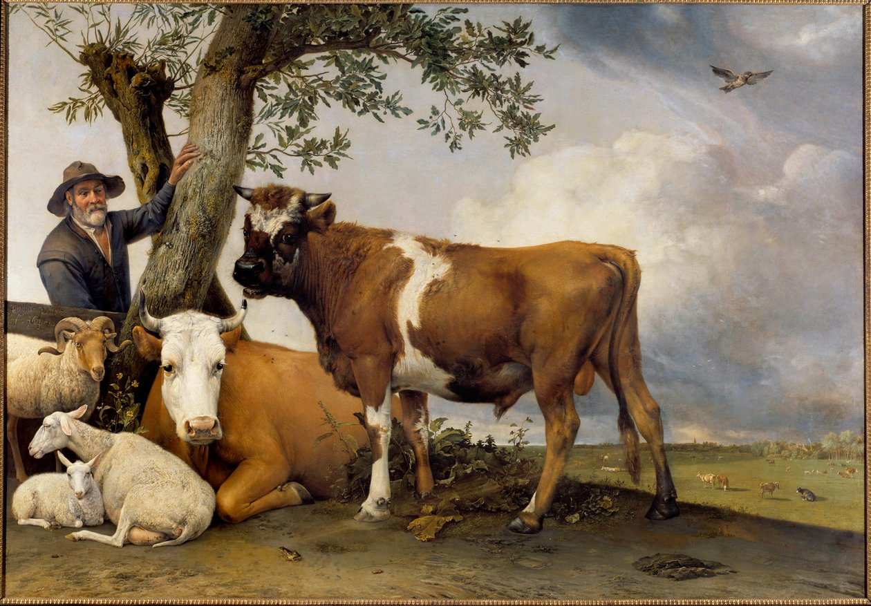 الثور الصغير: راع وبقر ماشيته ولحم ضأن وبقر وثور. لوحة بول بوتر (1625-1654) 1647 صن. 2،36x3،39 م لاهاي. موريتشويس بواسطة بول بوتر