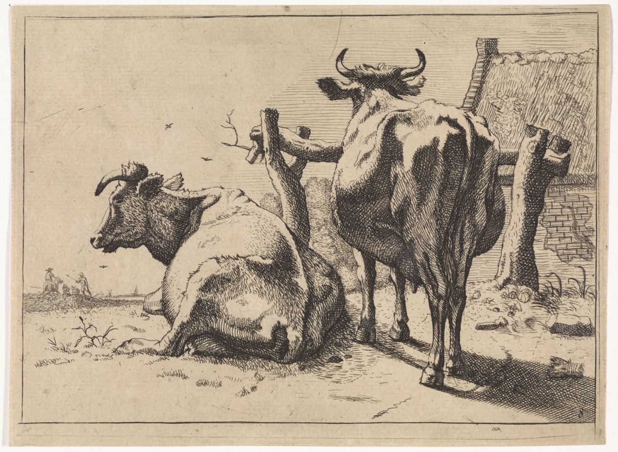 اثنين من الأبقار ينظر إليها من خلف Het Bullenboek (عنوان المسلسل) بواسطة بول بوتر
