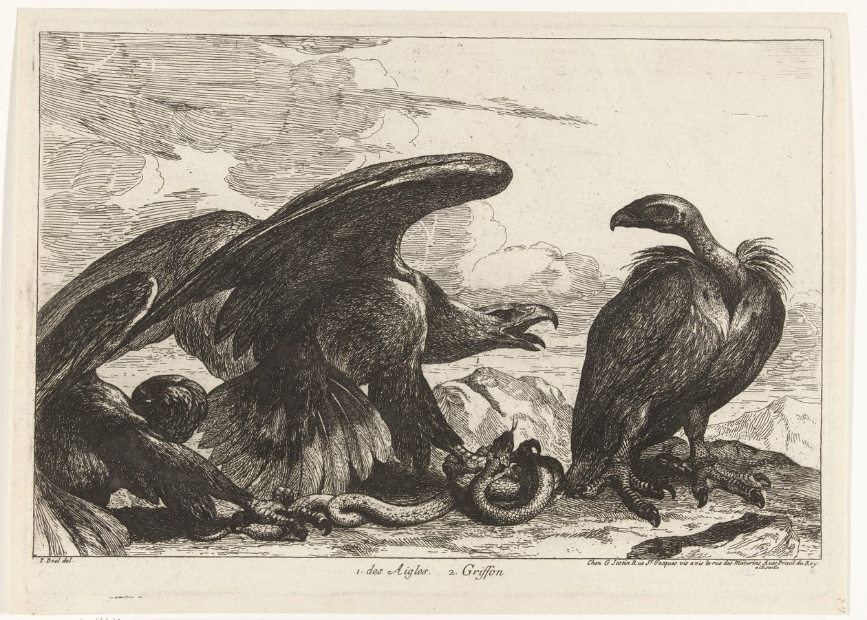 نسر ونسر مع ثعبان 1. des Aigles 2. Griffon (العنوان على الكائن) طيور من حديقة حيوانات فرساي (عنوان السلسلة) بواسطة بيتر بويل (منسوب إلى)