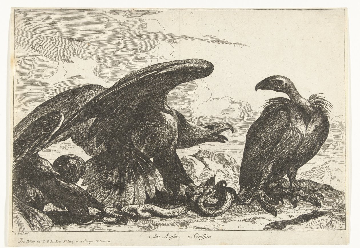 نسر ونسر مع ثعبان 1. des Aigles 2. Griffon (العنوان على الكائن) طيور من حديقة حيوانات فرساي (عنوان السلسلة) بواسطة بيتر بويل (منسوب إلى)