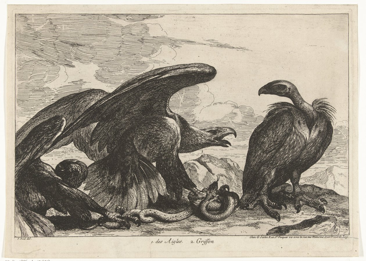 نسر ونسر مع ثعبان 1. des Aigles 2. Griffon (العنوان على الكائن) طيور من حديقة حيوانات فرساي (عنوان السلسلة) بواسطة بيتر بويل (منسوب إلى)