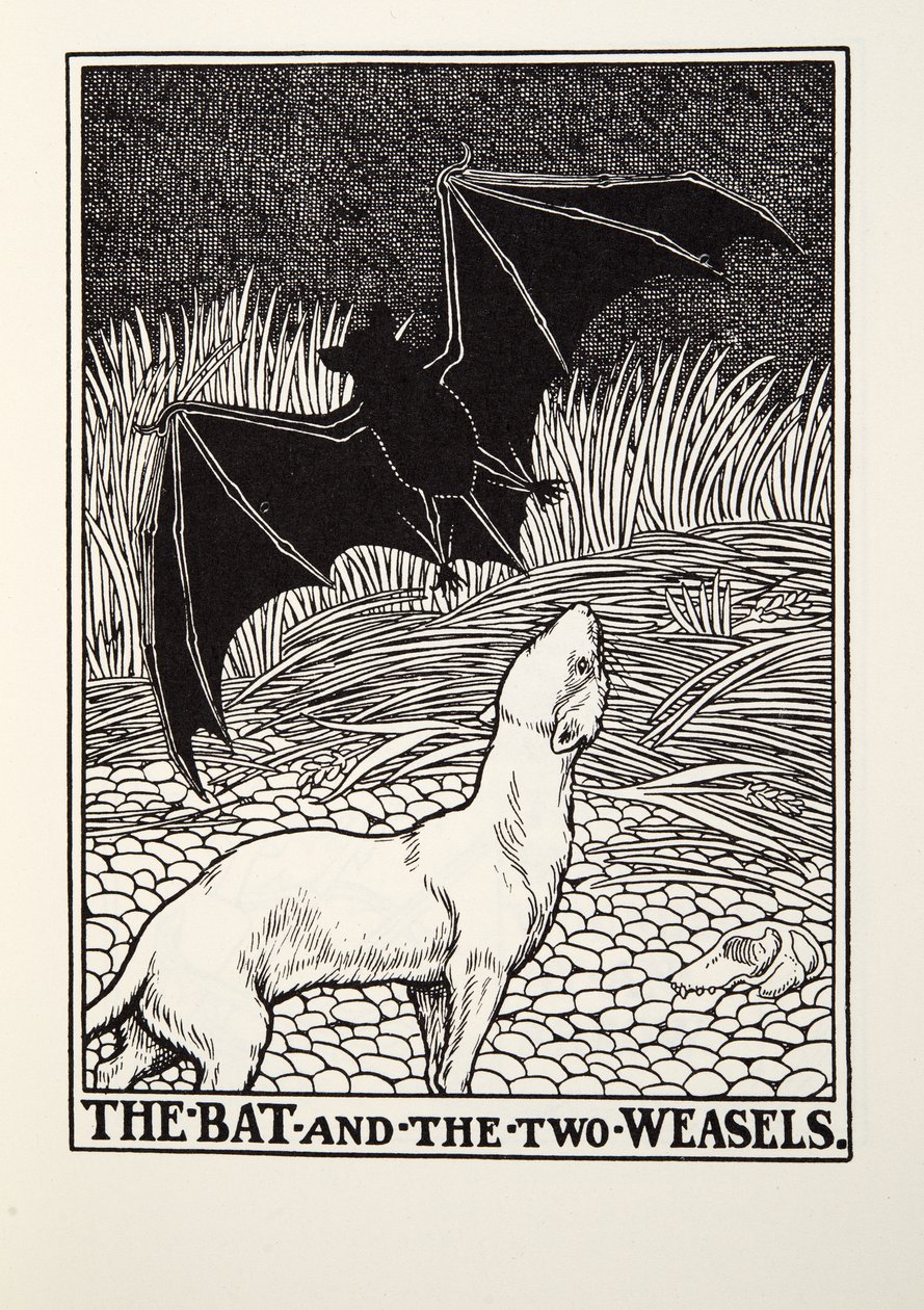 الخفاش واثنين من ابن عرس ، من Fontaine Fables ، حانة. 1905 بواسطة بيرسي جيه. بيلينجشيرست