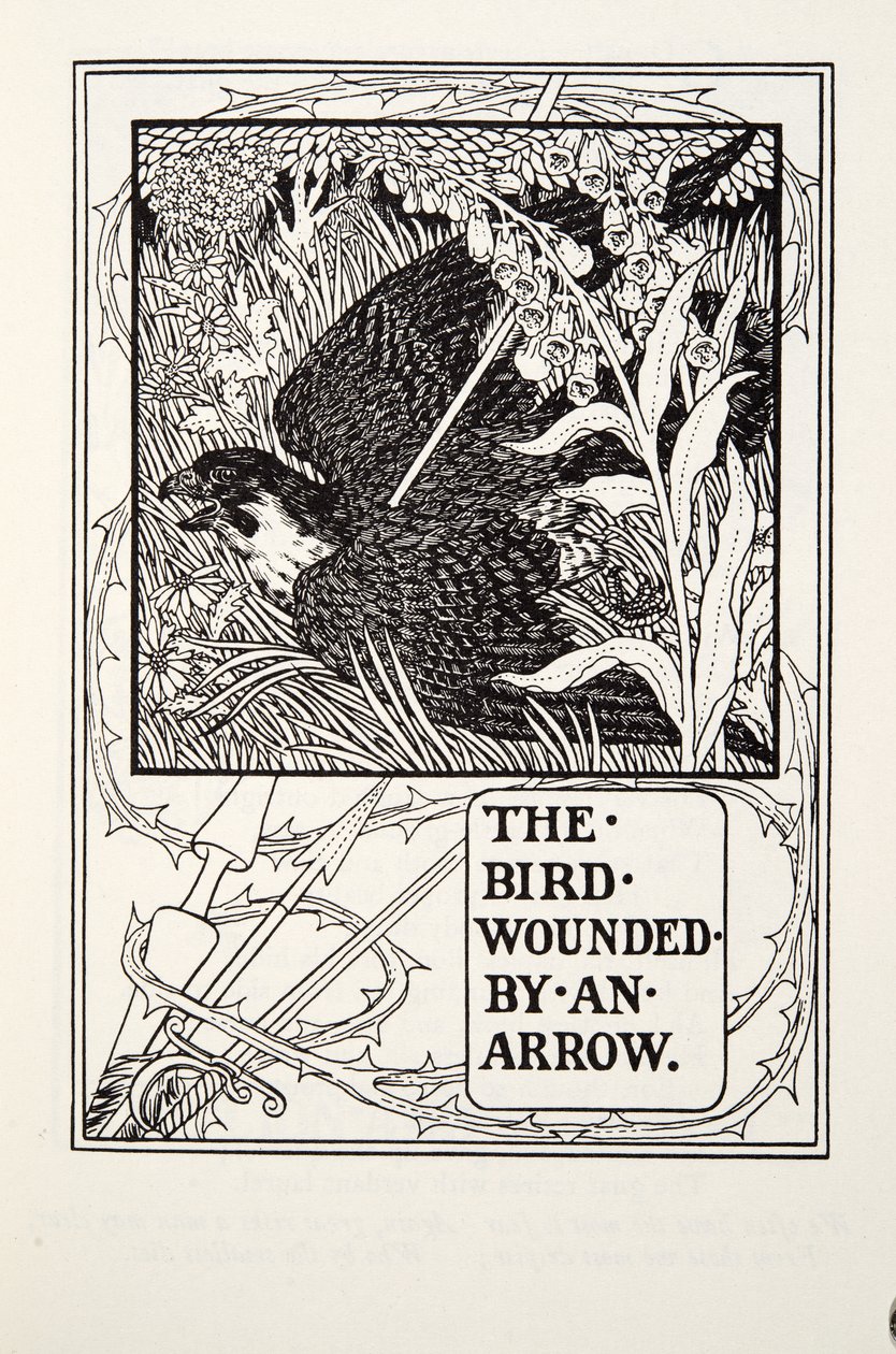 الطير مصاب بسهم ، من Fontaine Fables ، حانة. 1905 بواسطة بيرسي جيه. بيلينجشيرست