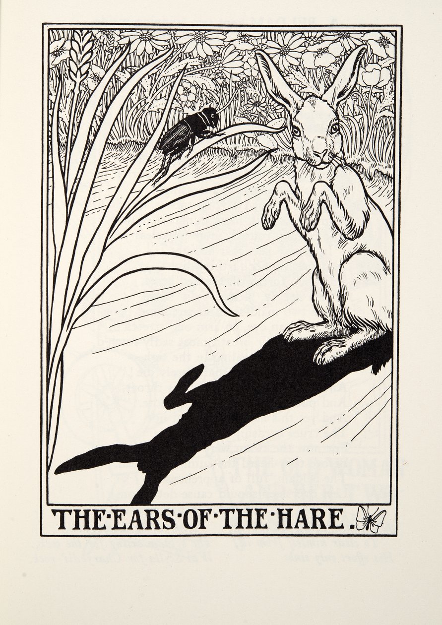 آذان الأرنب ، من Fontaine Fables ، حانة. 1905 بواسطة بيرسي جيه. بيلينجشيرست