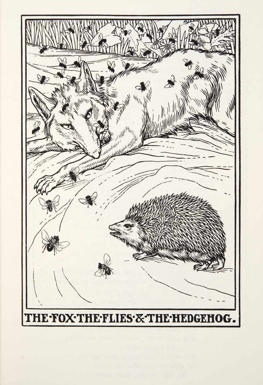 الثعلب ، الذباب والقنفذ ، من Fontaine Fables ، حانة. 1905 بواسطة بيرسي جيه. بيلينجشيرست
