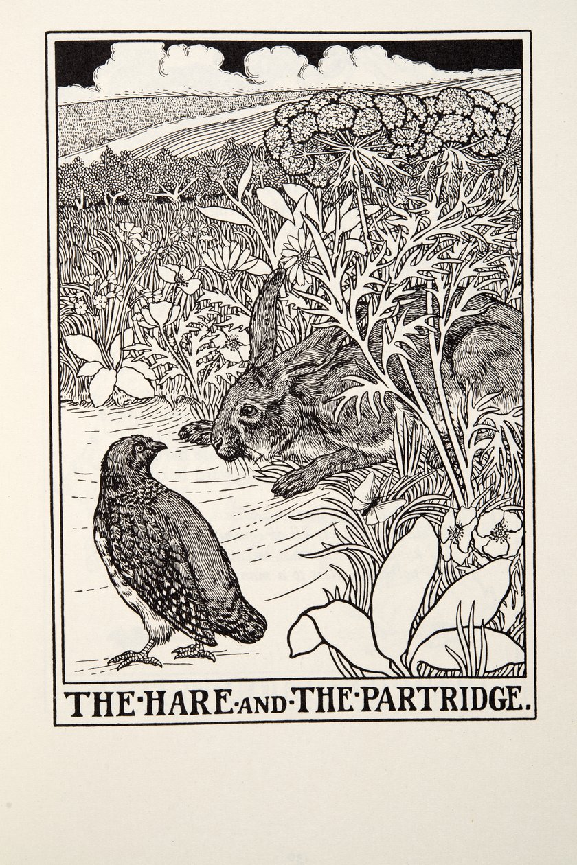 الأرانب والحجل ، من Fontaine Fables ، حانة. 1905 بواسطة بيرسي جيه. بيلينجشيرست