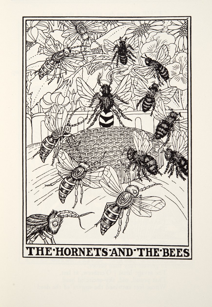 The Hornets and the Bees ، من Fontaine Fables ، حانة. 1905 (نقش) بواسطة بيرسي جيه. بيلينجشيرست