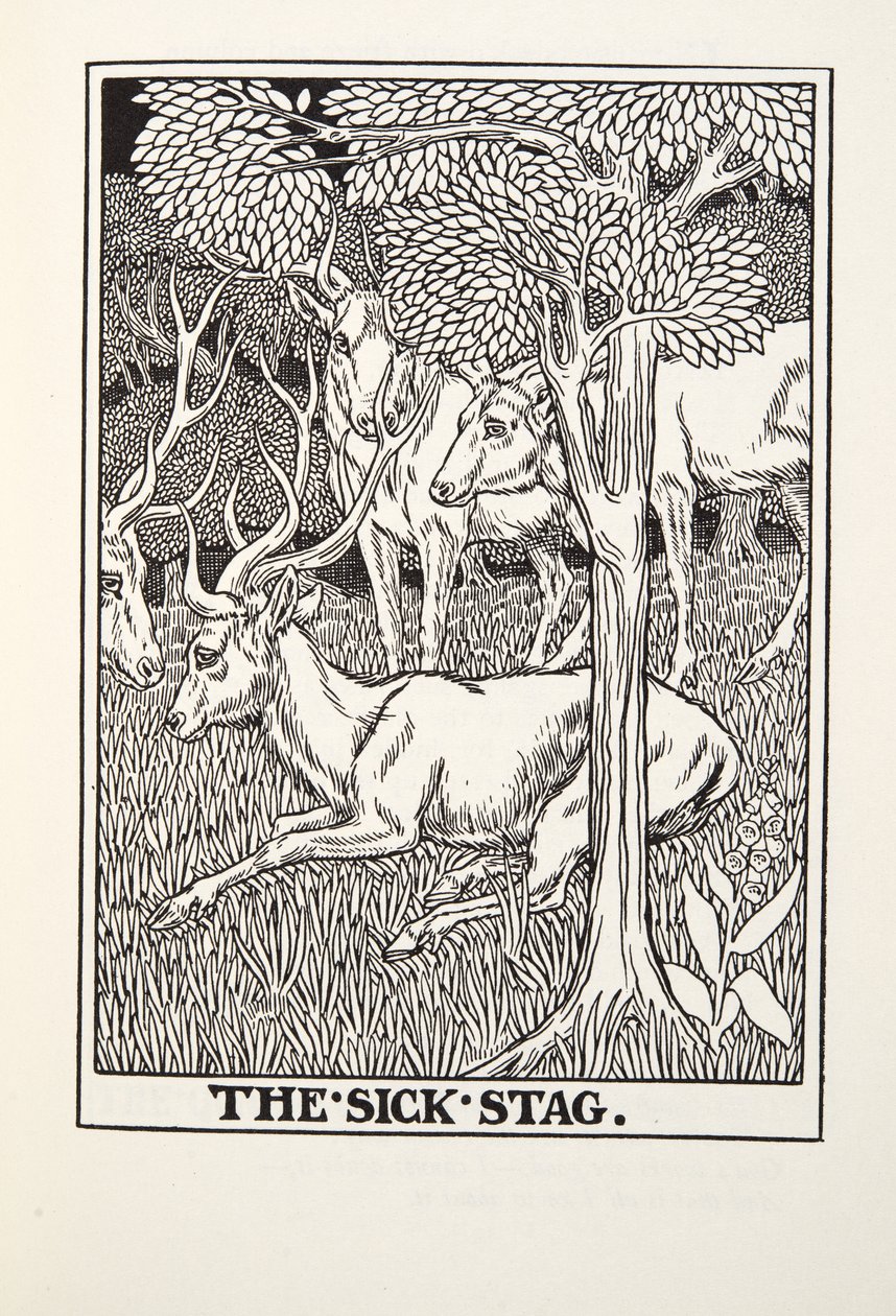 The Sick Stag ، من Fontaine Fables ، حانة. 1905 بواسطة بيرسي جيه. بيلينجشيرست