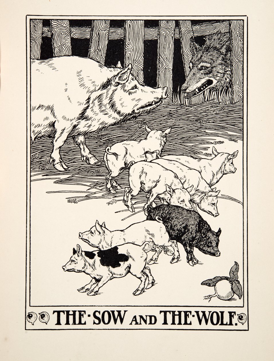 The Sow and the Wolf ، من مائة حكاية إيسوب ، حانة 1903 (نقش) بواسطة بيرسي جيه. بيلينجشيرست