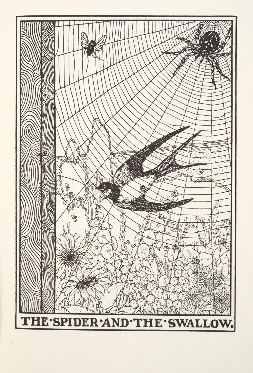 العنكبوت والابتلاع ، من Fontaine Fables ، حانة. 1905 بواسطة بيرسي جيه. بيلينجشيرست