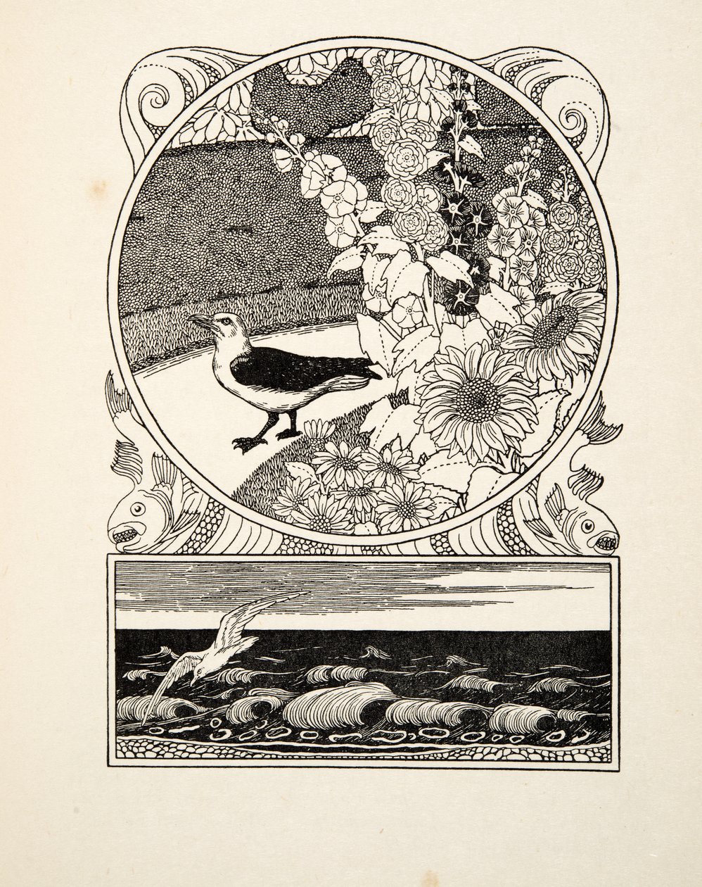 The Tame Seagull ، من مائة حكاية للحيوانات ، حانة. 1924 (نقش) بواسطة بيرسي جيه. بيلينجشيرست