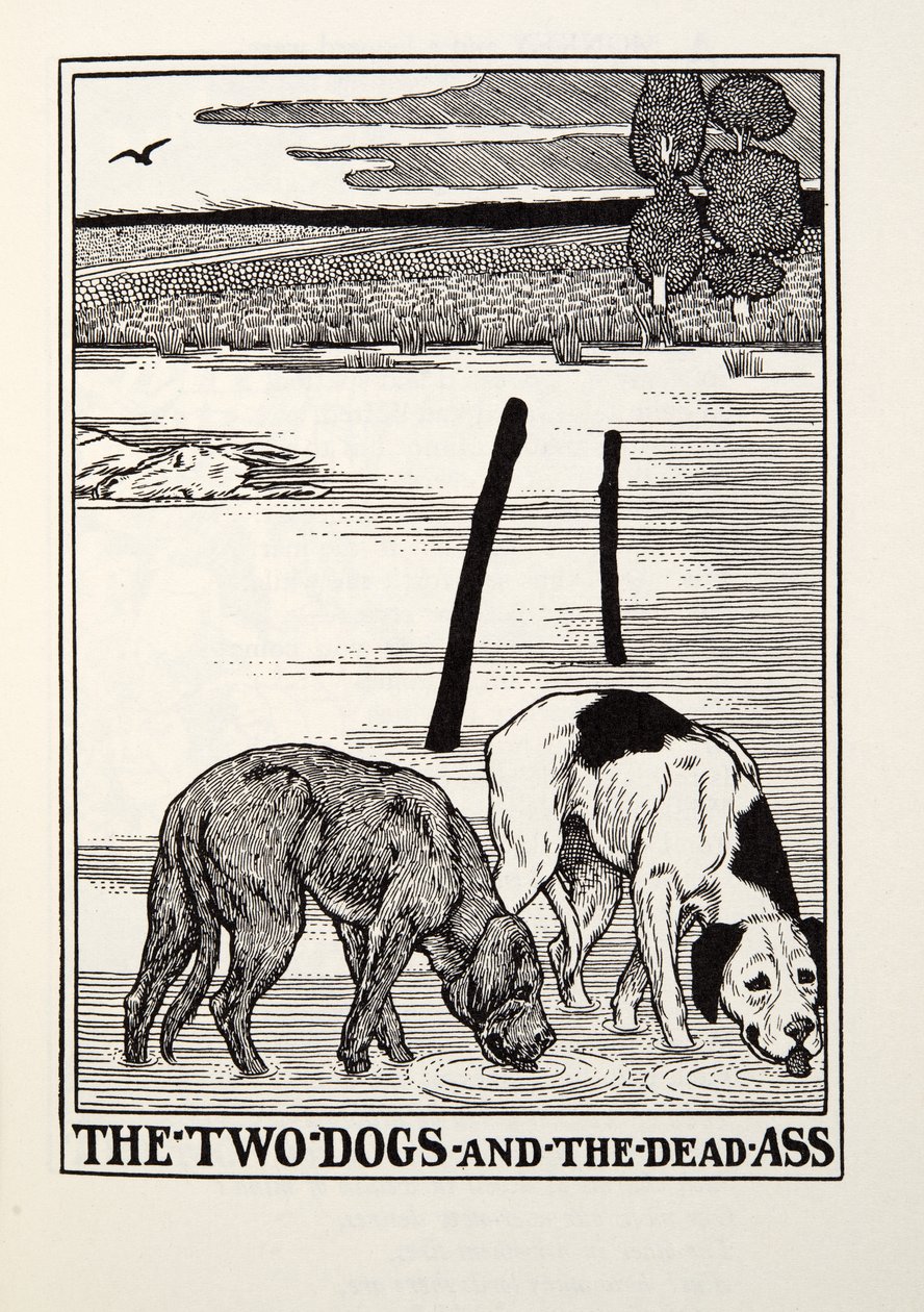 الكلبان والحمار الميت ، من Fontaine Fables ، حانة. 1905 بواسطة بيرسي جيه. بيلينجشيرست
