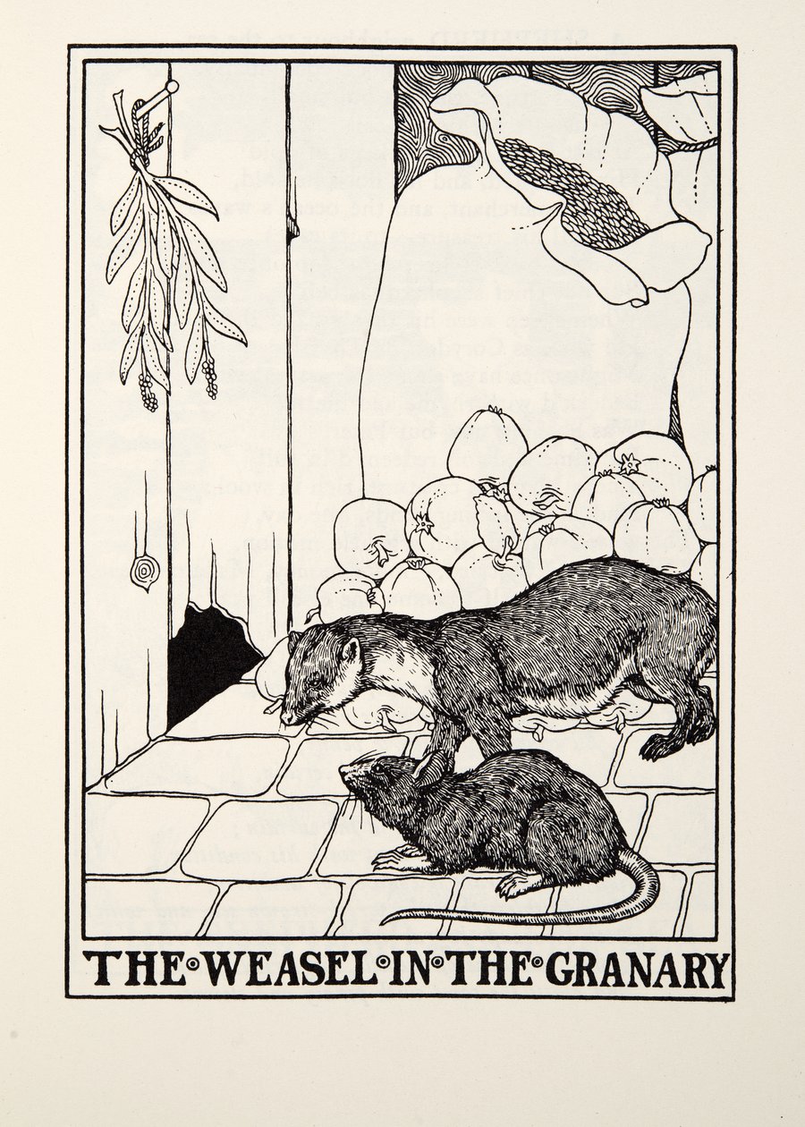 ابن عرس في مخزن الحبوب ، من Fontaine Fables ، حانة. 1905 بواسطة بيرسي جيه. بيلينجشيرست