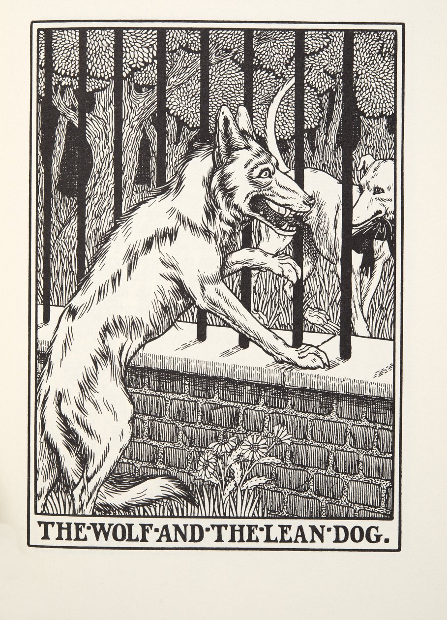 الذئب والكلب العجاف ، من Fontaine Fables ، حانة. 1905 (نقش) بواسطة بيرسي جيه. بيلينجشيرست