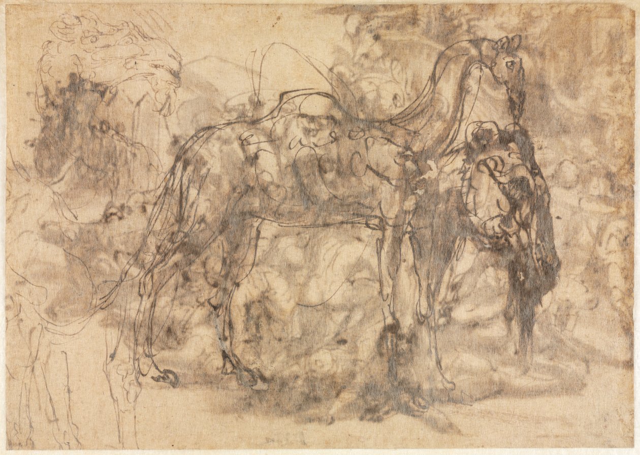 رسومات الحيوانات مقابل ، ج. 154547. بواسطة Perino del Vaga