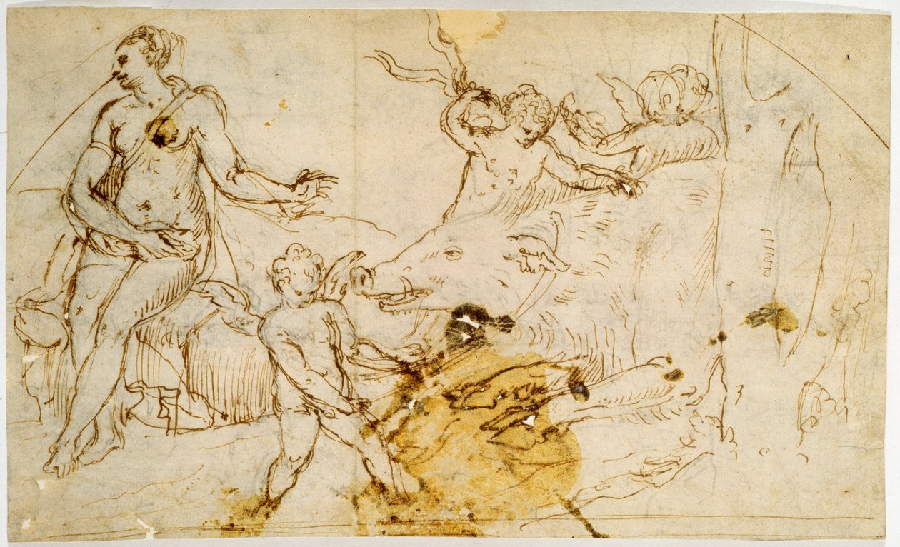 فينوس ، بوتي وخنزير بري ، c.1520-1540 بواسطة Perino del Vaga
