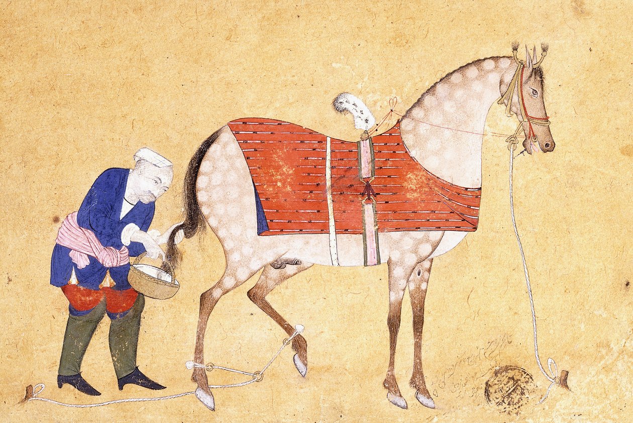 العريس مع الحصان ، 1694 بواسطة المدرسة الفارسية