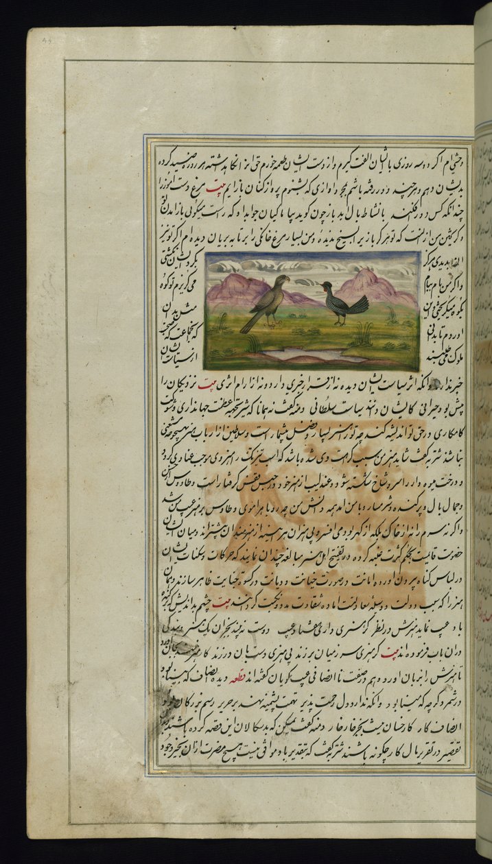 صقر ودجاجة من أنوار كانوب بواسطة المدرسة الفارسية