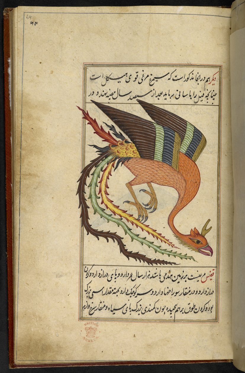 إضافة MS 15241 f.64r The simurgh ، طائر رعد إيراني ، من مجموعة "المجمعة" الغرائب للندرات ". بقلم سلطان محمد بلخي بواسطة المدرسة الفارسية