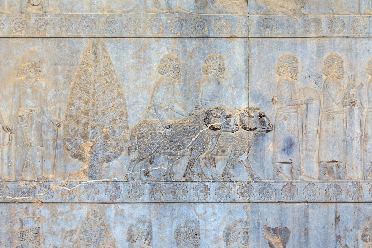 نقوش بارزة على جدران قصر ودرج أبادانا ، برسيبوليس ، إيران (الحجر الرملي) بواسطة المدرسة الفارسية
