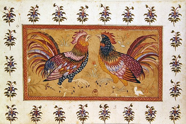 قتال الديك (جواش على ورق) بواسطة المدرسة الفارسية