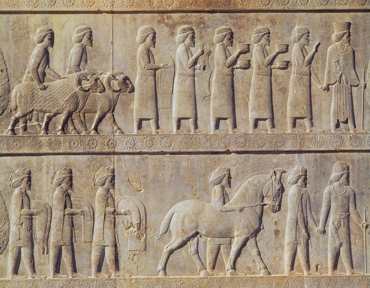 تفاصيل إفريز بارز على الدرج الشرقي إلى أبادانا (قاعة الجمهور) يصور مندوبين من الأراضي الخاضعة للإمبراطورية حاملين هدايا فخمة لمراسم ، الفترة الأخمينية ، حوالي 515 قبل الميلاد (الحجر الجيري) بواسطة المدرسة الفارسية