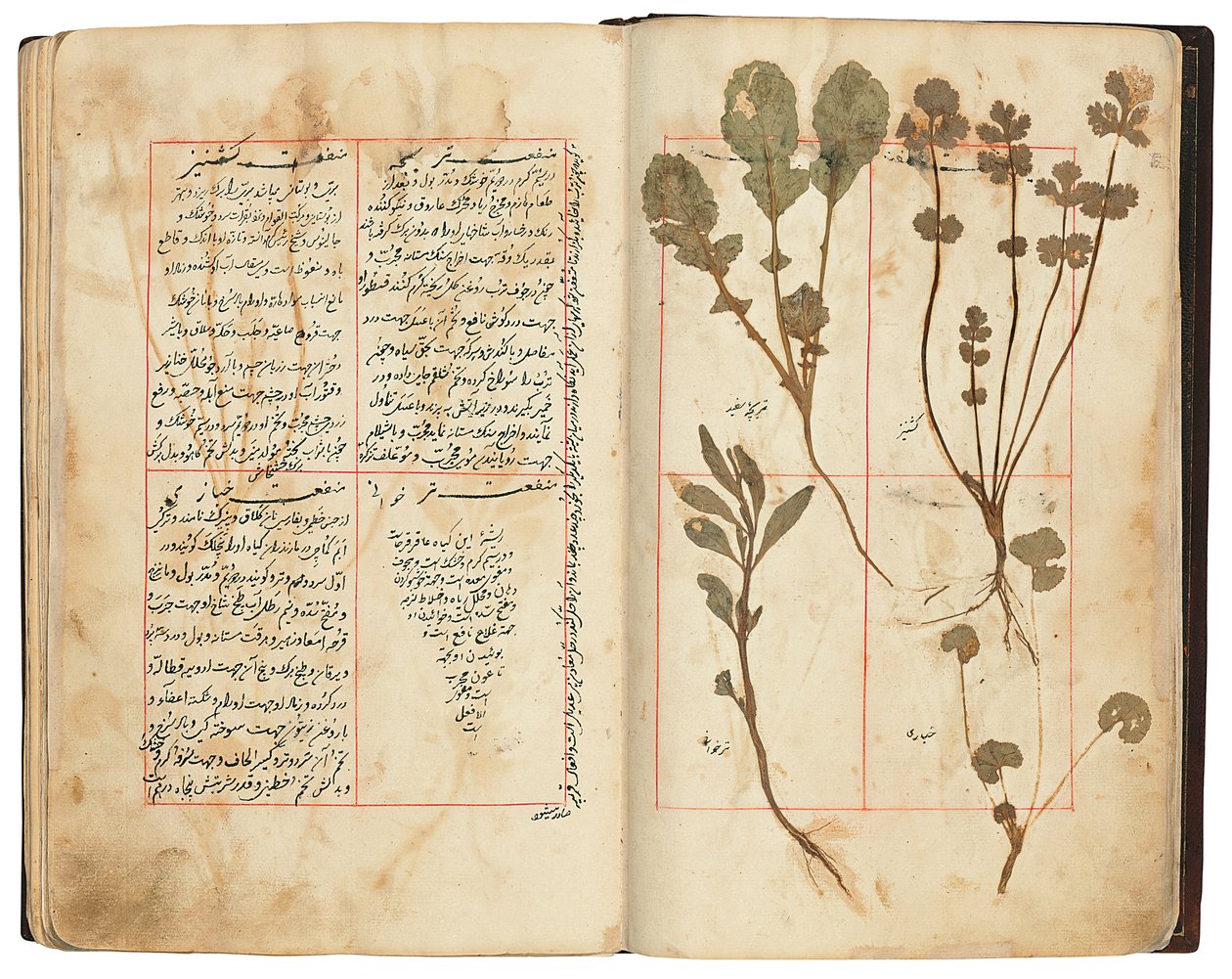 Hassan Bin Baqir Bin Jarrah: Gulzar Al-Rayahin, Qajar Iran بواسطة المدرسة الفارسية
