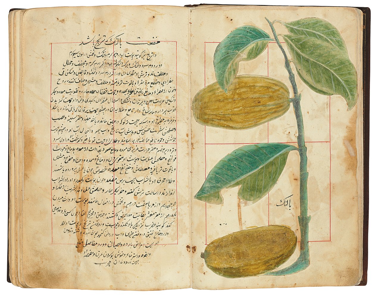 Hassan Bin Baqir Bin Jarrah: Gulzar Al-Rayahin, Qajar Iran بواسطة المدرسة الفارسية
