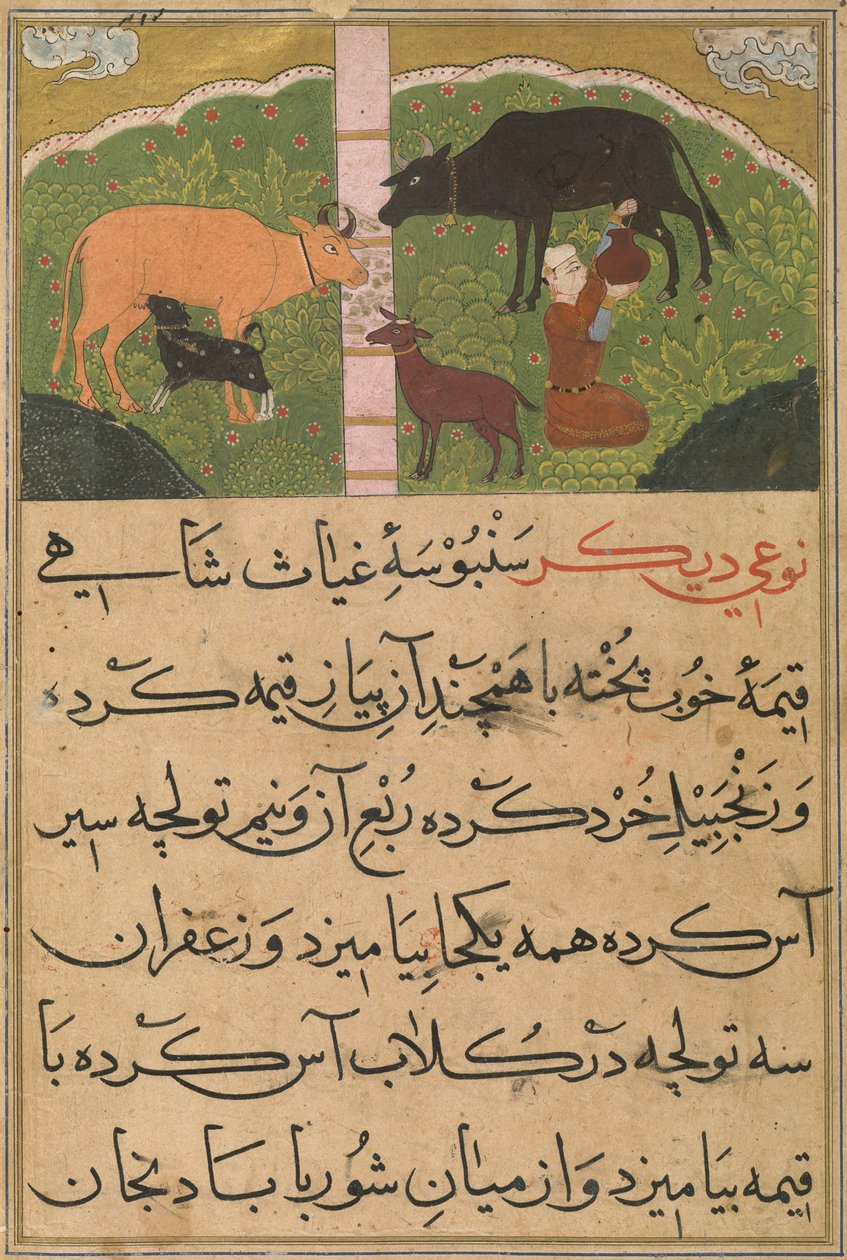  بواسطة المدرسة الفارسية