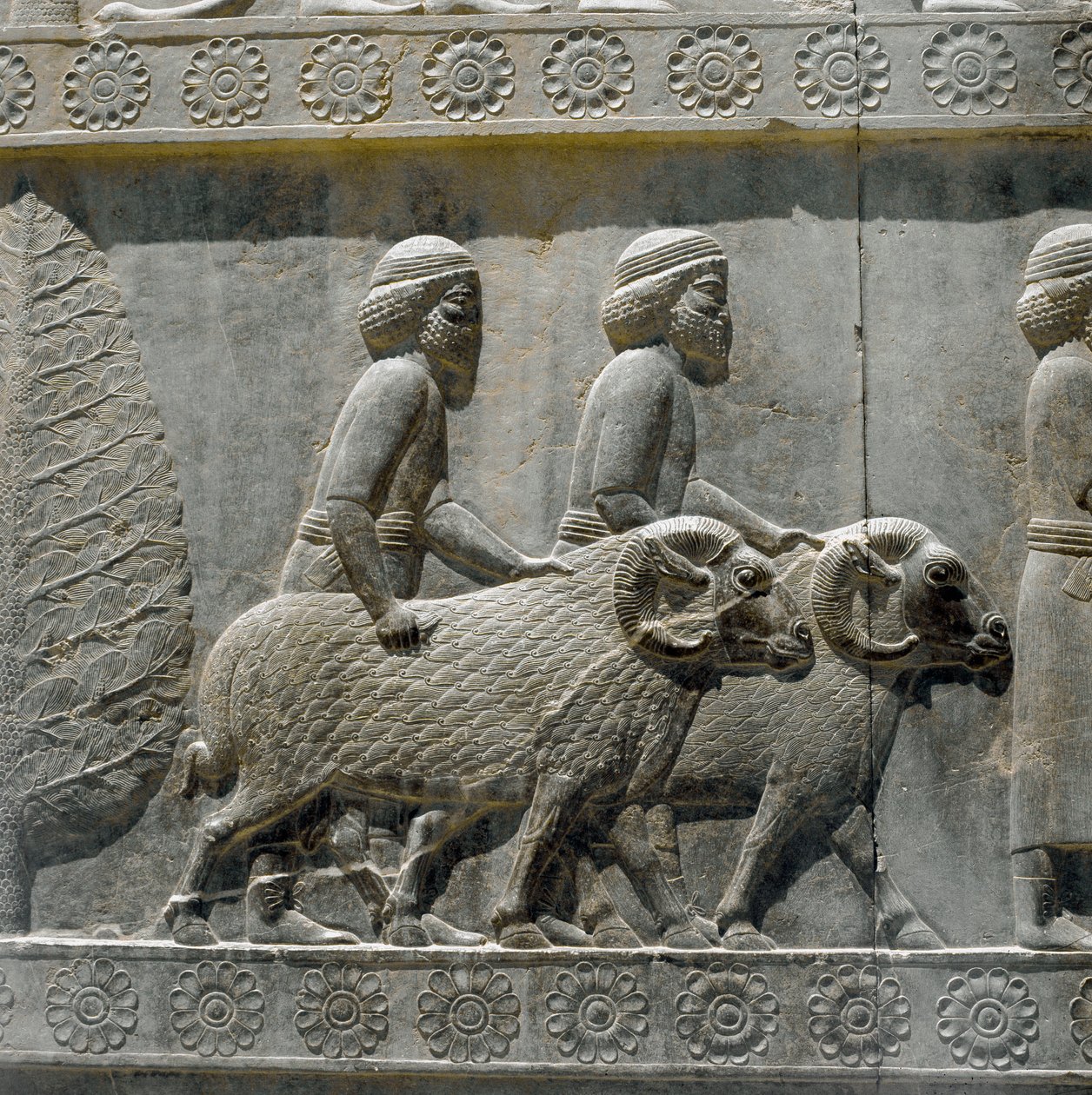 Sogdians يجلبون الهدايا إلى داريوس الأول. نقوش السلم الشرقي لأبادانا ، القرن السادس قبل الميلاد بواسطة المدرسة الفارسية
