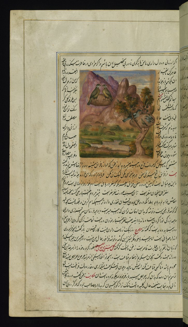 صقران وعش غراب من أضواء كانوب بواسطة المدرسة الفارسية