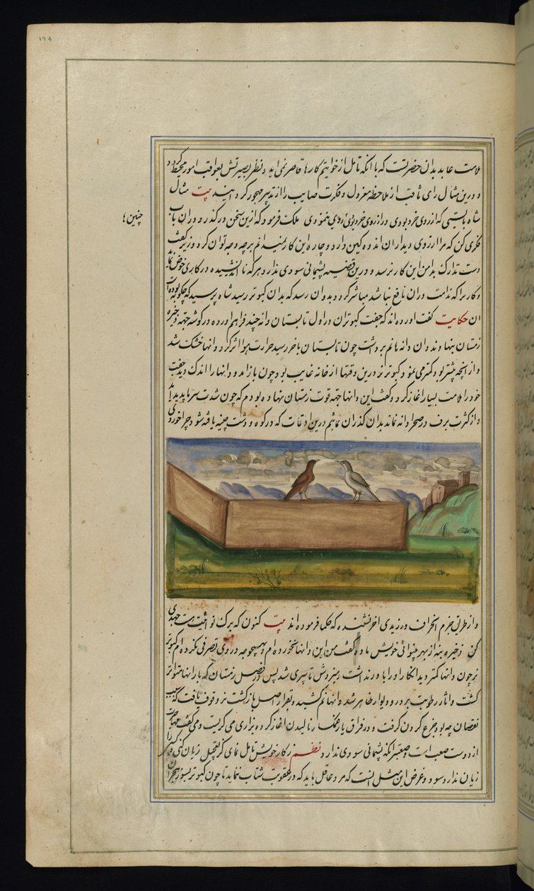 حمامان ومورد حبوب من Lights of Canopus بواسطة المدرسة الفارسية