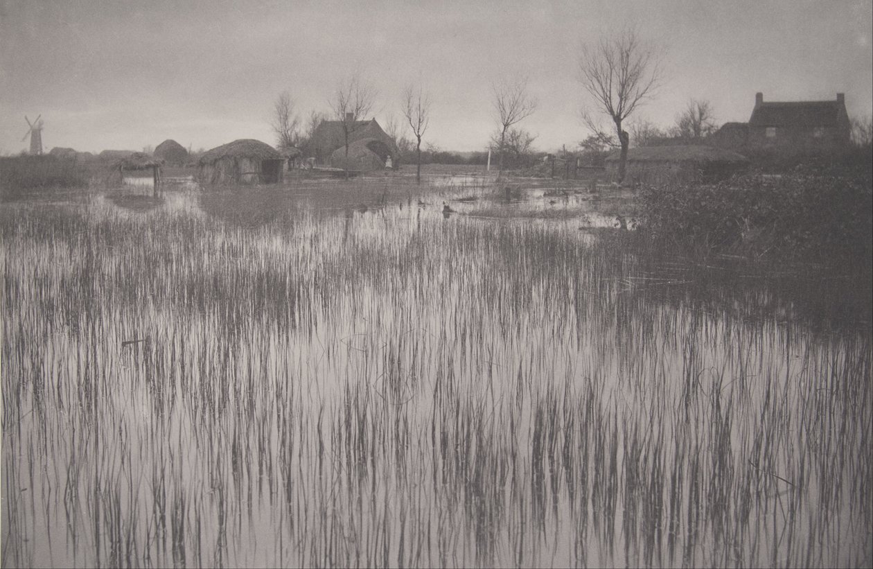 Rushy Shore ، اللوحة XXXV من Life and Landscape على Norfolk Broads بواسطة بيتر هنري ايمرسون