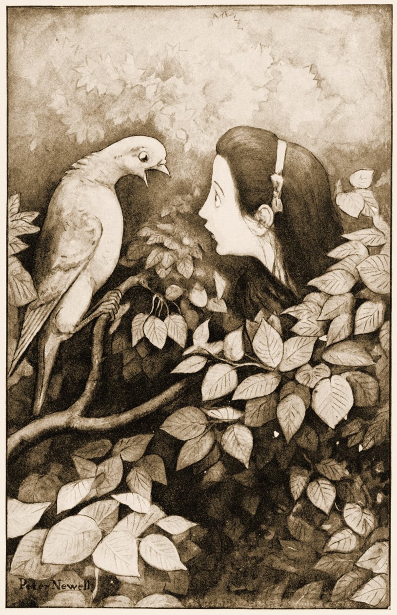 صرخ "الحمام!" صرخة الحمام ، رسم توضيحي لمغامرات لويس كارول في أليس في بلاد العجائب ، 1901 بواسطة بيتر نيويل