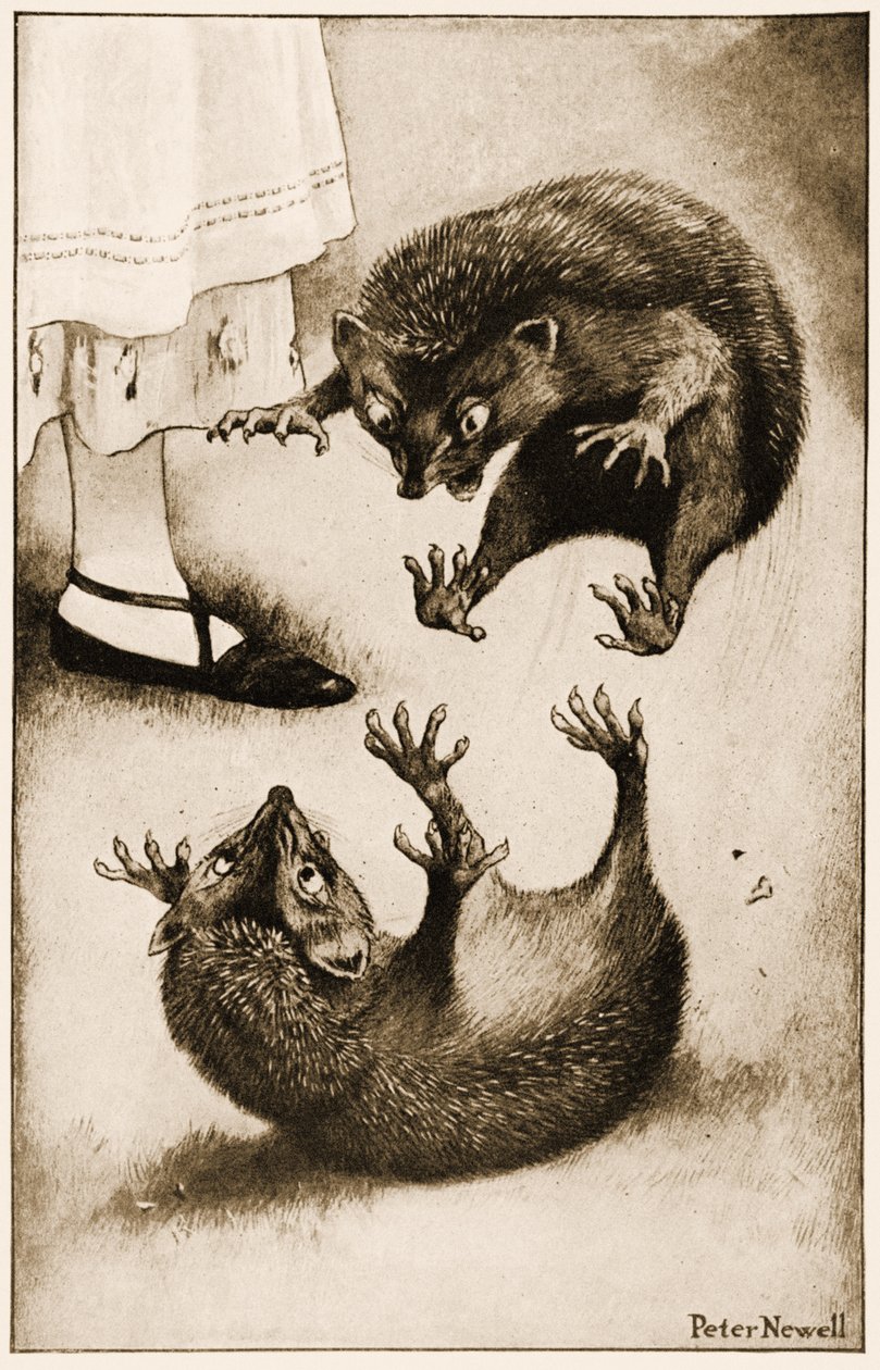 "شارك Hedge-hog في قتال مع خنزير Hedge-hog آخر" ، رسم توضيحي لمغامرات لويس كارول في أليس في بلاد العجائب ، 1901 بواسطة بيتر نيويل
