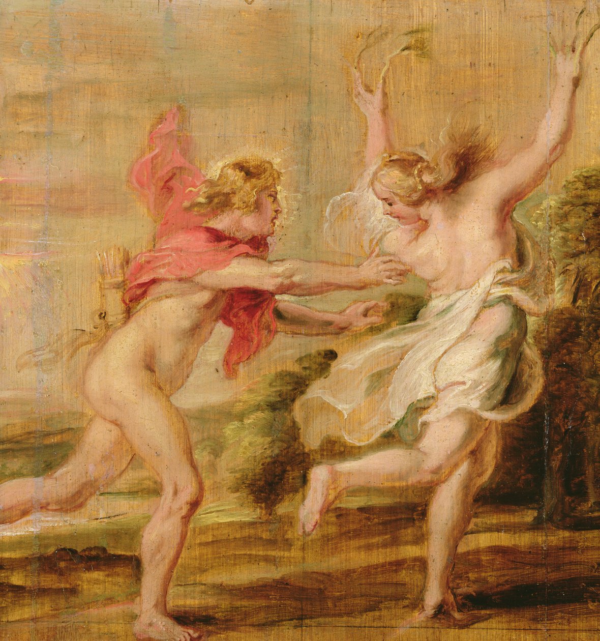 أبولو ودافني ، c.1636 بواسطة بيتر بول روبنز