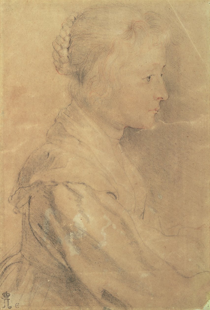 صورة لابنة بالتاسار جربير دوفيلي ، 1629 (طباشير أبيض وأسود ، ودماء ، وقلم وحبر) بواسطة بيتر بول روبنز