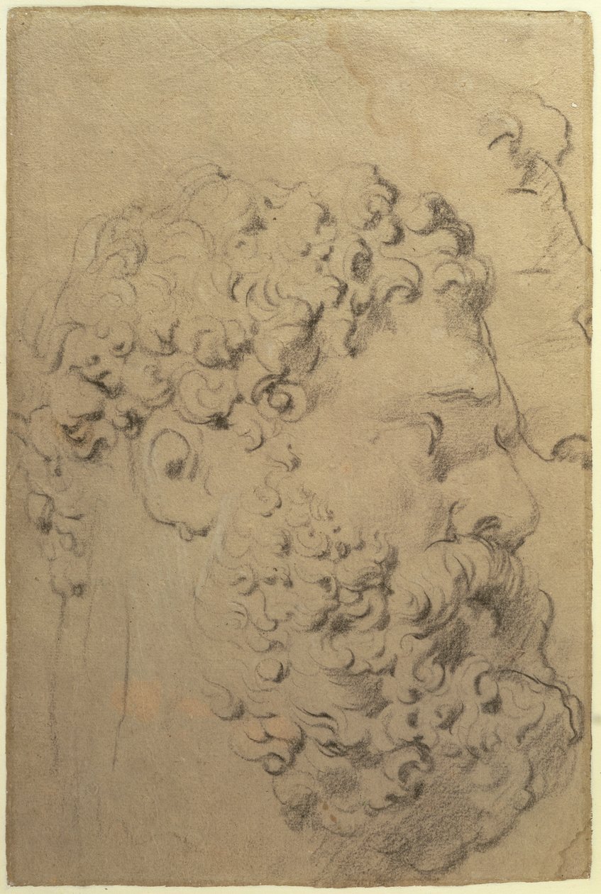 دراسات حول الرأس وملف تعريف Farnese Hercules بواسطة Glycon ، العدد 1606-08 (طباشير أبيض وأسود على ورق) بواسطة بيتر بول روبنز