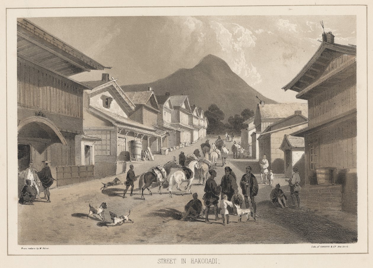 شارع في هاكودادي ، ليثو من شركة Sarony und Co. ، 1855 (chromolitho) بواسطة بيتر برنهارد فيلهلم هاينه