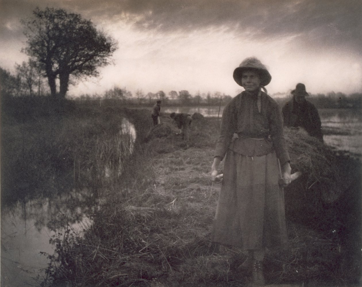 Poling the Marsh Hay ، الحياة والمناظر الطبيعية على نورفولك برودز ، 1886 بواسطة بيتر إيمرسون وتوماس جودال