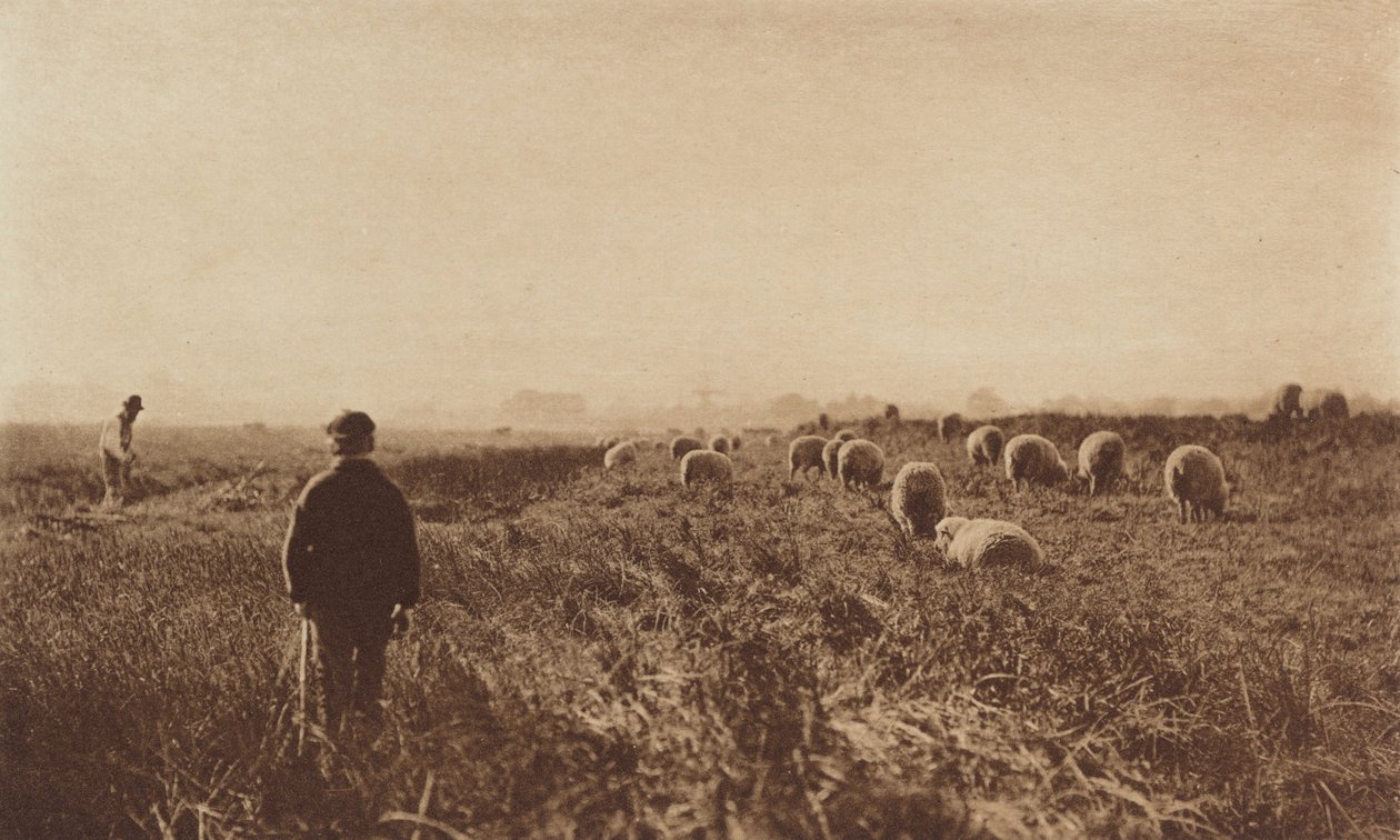 الأهوار في يونيو 1890-1891 طبعت عام 1893. بواسطة بيتر هنري ايمرسون