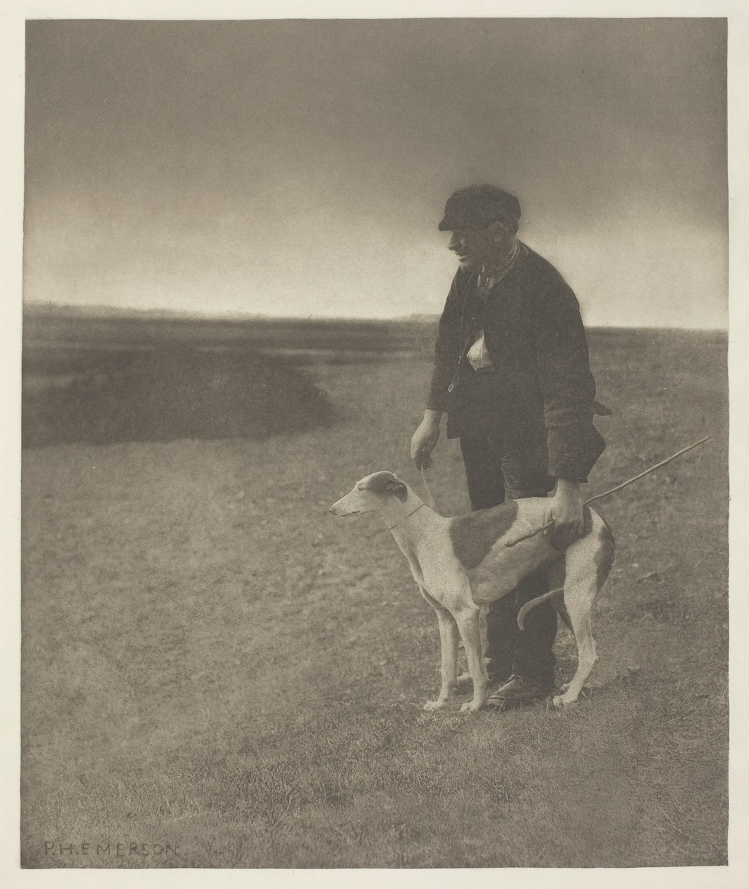 The Poacher - A Hare in View (سوفولك) بواسطة بيتر هنري ايمرسون