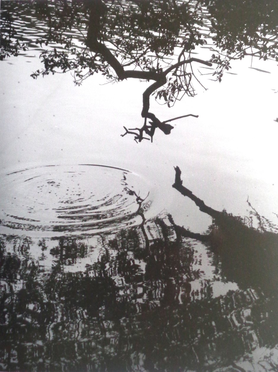 VINTAGE B&W PHOTO No.5، 1986، (PHOTOGRAPH) بواسطة بيتر مكلور