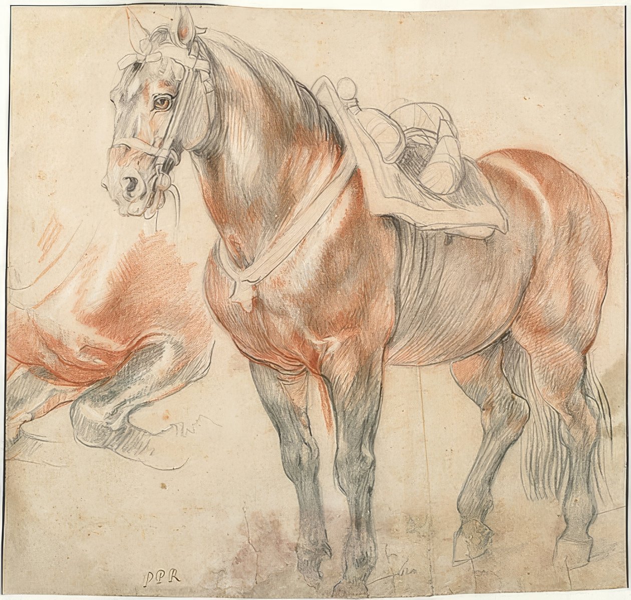 حصان سرج. حوالي 1615-18 بواسطة بيتر بول روبنز